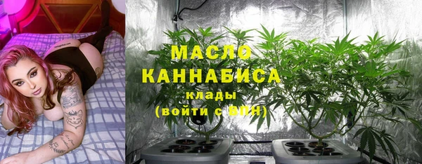 2c-b Козельск