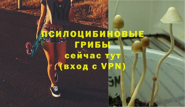 ECSTASY Корсаков
