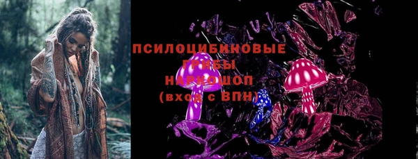 амф Кодинск
